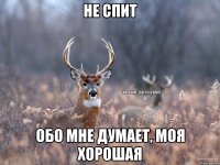 не спит обо мне думает, моя хорошая