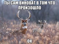 ты сам виноват в том что произошло ок