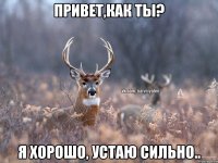 Привет,как ты? Я хорошо, устаю сильно..