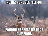 Nu raspunde la telefon pahodu se pregateste de olimpiada