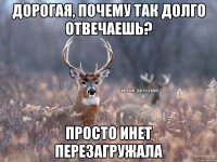 Дорогая, почему так долго отвечаешь? Просто инет перезагружала