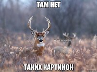 Там нет Таких картинок