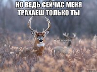 но ведь сейчас меня трахаеш только ты 