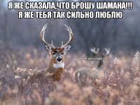 я же сказала,что брошу шамана!!! я же тебя так сильно люблю 