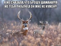 я же сказала,что брошу шамана!!!я же тебя люблю,а он мне не нужен!! 