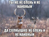 Ты же не олень и не наивный Да солнышко, не олень и не наивный