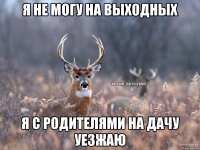 Я не могу на выходных Я с родителями на дачу уезжаю