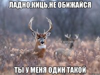 Ладно,киць,не обижайся ты у меня один такой