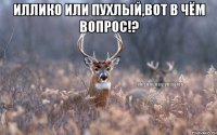 Иллико или Пухлый,вот в чём вопрос!? 