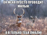 Он меня просто проводит, милый. а я только тебя люблю