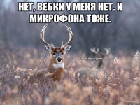 Нет, вебки у меня нет. И микрофона тоже. 