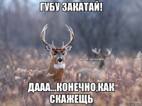 губу закатай! дааа...конечно,как скажещь