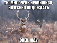 Ты мне очень нравишься, но нужно подождать Окей, жду