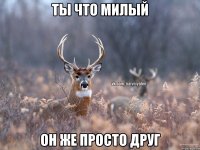 ты что милый он же просто друг