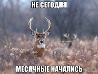 Не сегодня месячные начались