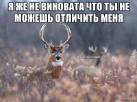 я же не виновата что ты не можешь отличить меня 