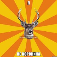 я не воронина