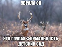 убрала сп это глупая формальность, детский сад