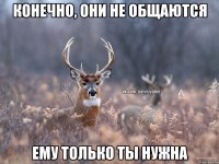 конечно, они не общаются ему только ты нужна