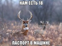 нам есть 18 паспорт в машине