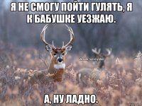 Я не смогу пойти гулять, я к бабушке уезжаю. А, ну ладно.