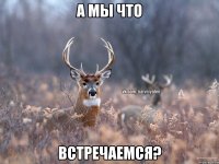 А мы что встречаемся?