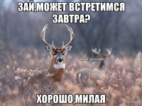 Зай,может встретимся завтра? Хорошо,милая