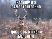 Напишу ЕГЭ самостоятельно Добьюсь в жизни больнего