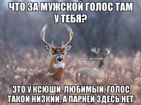 что за мужской голос там у тебя? это у Ксюши, любимый, голос такой низкий, а парней здесь нет