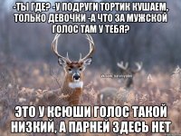 -ты где? -у подруги тортик кушаем, только девочки -а что за мужской голос там у тебя? это у Ксюши голос такой низкий, а парней здесь нет