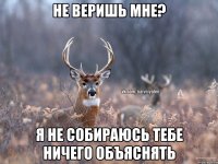 Не веришь мне? Я не собираюсь тебе ничего объяснять