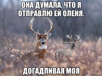 Она думала, что я отправлю ей оленя. Догадливая моя