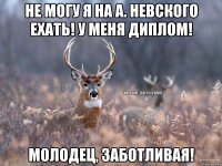 не могу я на А. Невского ехать! у меня диплом! Молодец, заботливая!