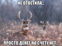 Не ответила... Просто денег на счету нет...