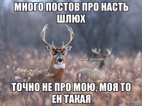 Много постов про Насть шлюх точно не про мою, моя то ен такая