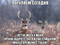 Погуляем сегодня нет не могу,у меня уроки,задротство.Я и так слишком много времени с тобой.