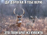 Да, дорогая, я тебе верю Это твой брат из Кувейта