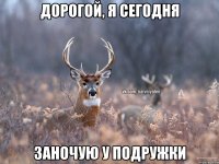 Дорогой, я сегодня Заночую у подружки