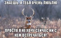 знаешь, я тебя очень люблю просто я не хочу сейчас ни с кем встречаться!