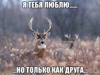 Я тебя люблю...... ...но только как друга...