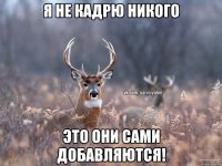 я не кадрю никого это они сами добавляются!