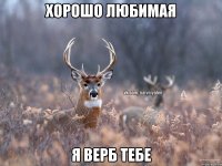 Хорошо любимая Я верб тебе