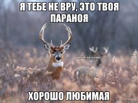 я тебе не вру, это твоя параноя хорошо любимая