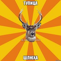 тупица шлюха