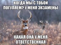 Когда мы с тобой погуляем? у меня экзамены какая она у меня ответственная