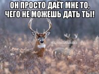 он просто даёт мне то, чего не можешь дать ты! 