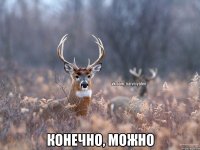  конечно, можно