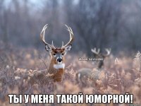  Ты у меня такой юморной!