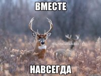 вместе навсегда