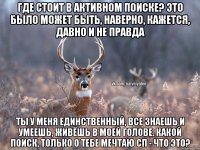 Где стоит в активном поиске? Это было может быть, наверно, кажется, давно и не правда Ты у меня единственный, все знаешь и умеешь, живёшь в моей голове. Какой поиск, только о тебе мечтаю СП - что это?